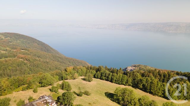 Afficher la photo en grand terrain à vendre - 1124.0 m2 - THOLLON LES MEMISES - 74 - RHONE-ALPES - Century 21 Chablais - Léman