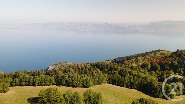 Afficher la photo en grand terrain à vendre - 1124.0 m2 - THOLLON LES MEMISES - 74 - RHONE-ALPES - Century 21 Chablais - Léman