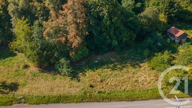 Afficher la photo en grand terrain à vendre - 1124.0 m2 - THOLLON LES MEMISES - 74 - RHONE-ALPES - Century 21 Chablais - Léman