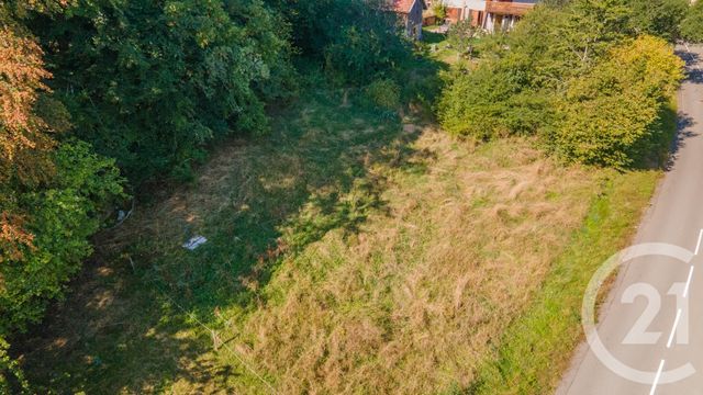 terrain à vendre - 1124.0 m2 - THOLLON LES MEMISES - 74 - RHONE-ALPES - Century 21 Chablais - Léman