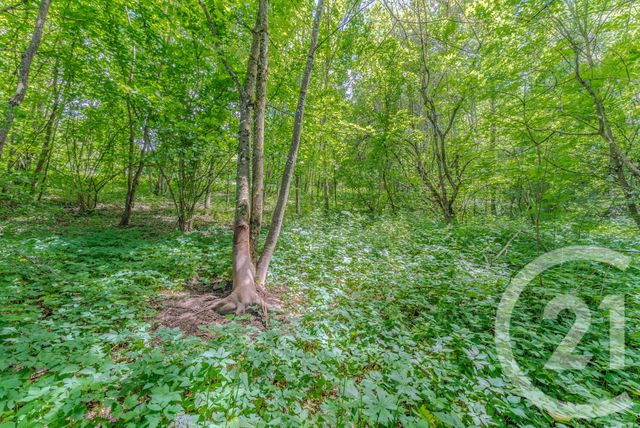 maison à vendre - 4 pièces - 196.54 m2 - ST PAUL EN CHABLAIS - 74 - RHONE-ALPES - Century 21 Chablais - Léman