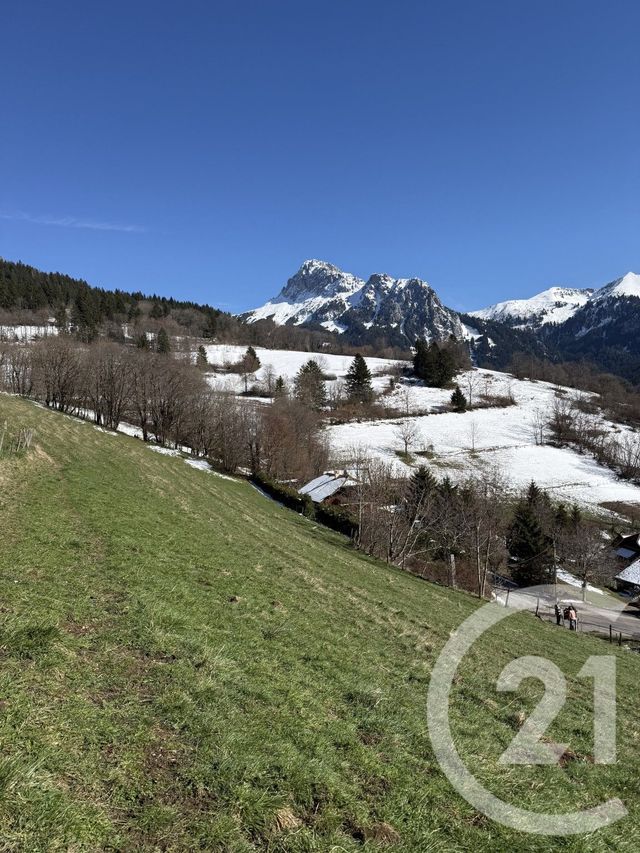 terrain à vendre - 850.0 m2 - BERNEX - 74 - RHONE-ALPES - Century 21 Chablais - Léman